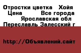 Отростки цветка  “Хойя“ › Цена ­ 300 - Все города  »    . Ярославская обл.,Переславль-Залесский г.